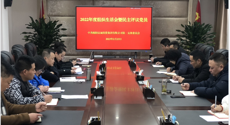 伟德国际1946源于英国集团第一党支部召开组织生活会暨民主评议党员会议